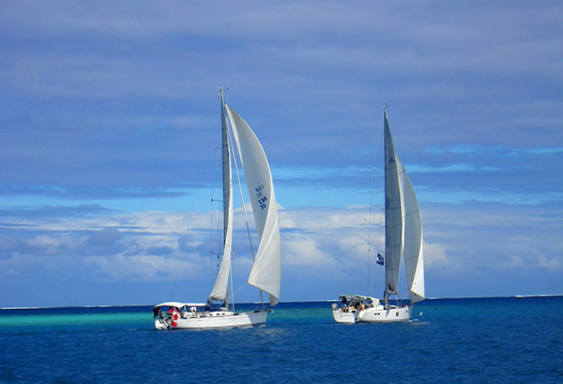 Two yachts with white sails sailing