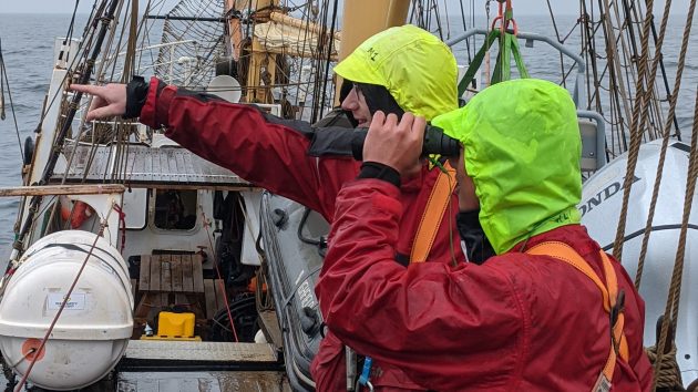 Two people on the deck of a ship looking through binoculars