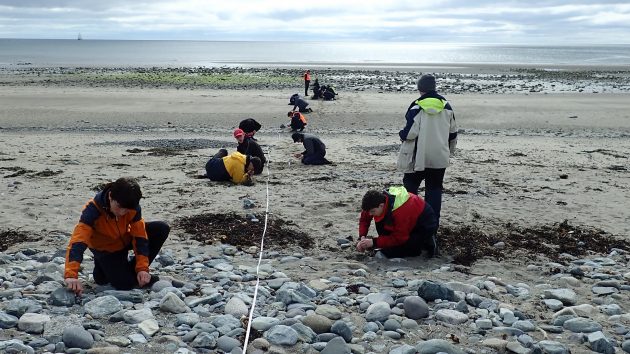 Children on a beach carrying out a plastic survey