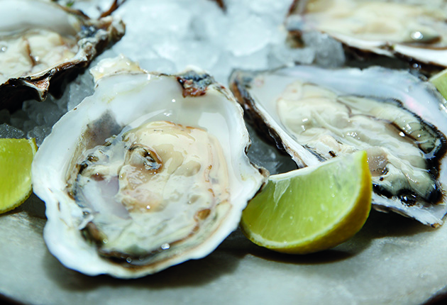 Rock Oysters served on a plate with lemon and ice