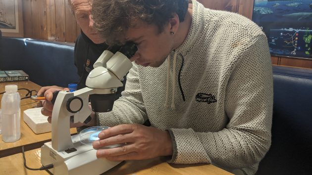 A man wearing a white jumped looking down a microscope