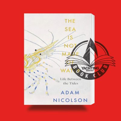 The Sea is not made of water book jacket