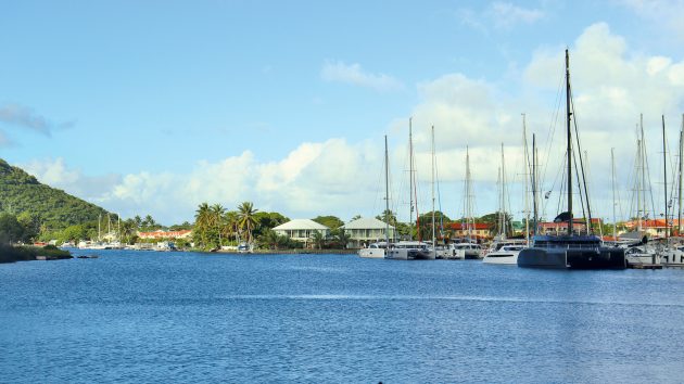 A beautiful Carribean marina, including fairly calm water, palm trees and sunny skies.