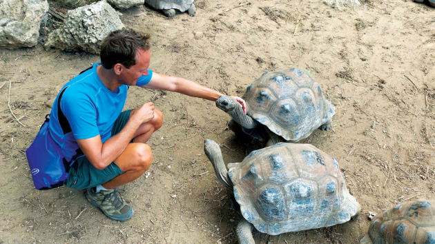 Tortoises compete for Floris’s attention
